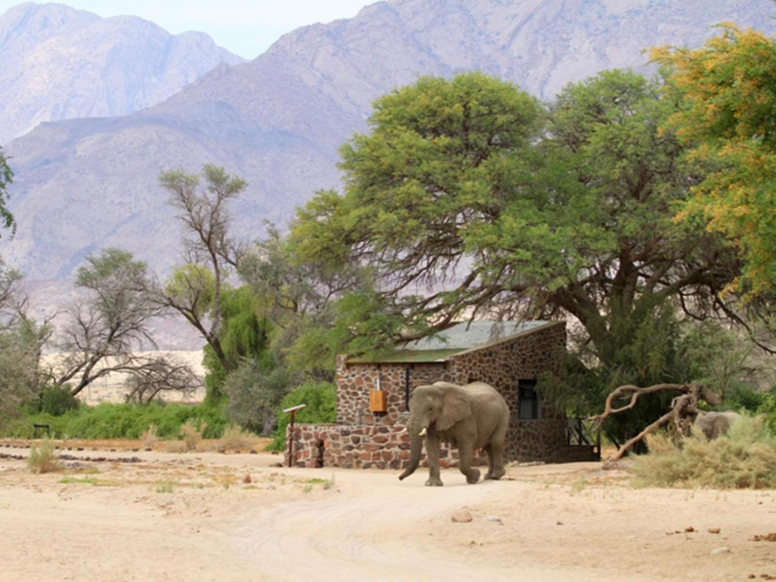 Brandberg White Lady Lodge Uis Exterior foto