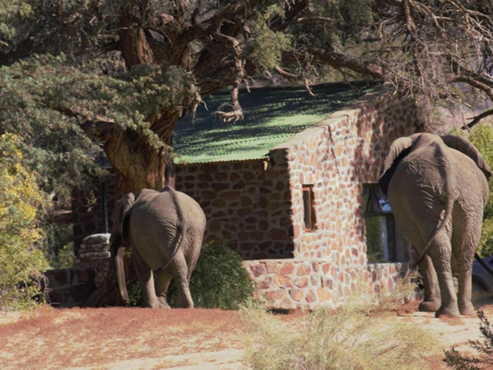 Brandberg White Lady Lodge Uis Exterior foto