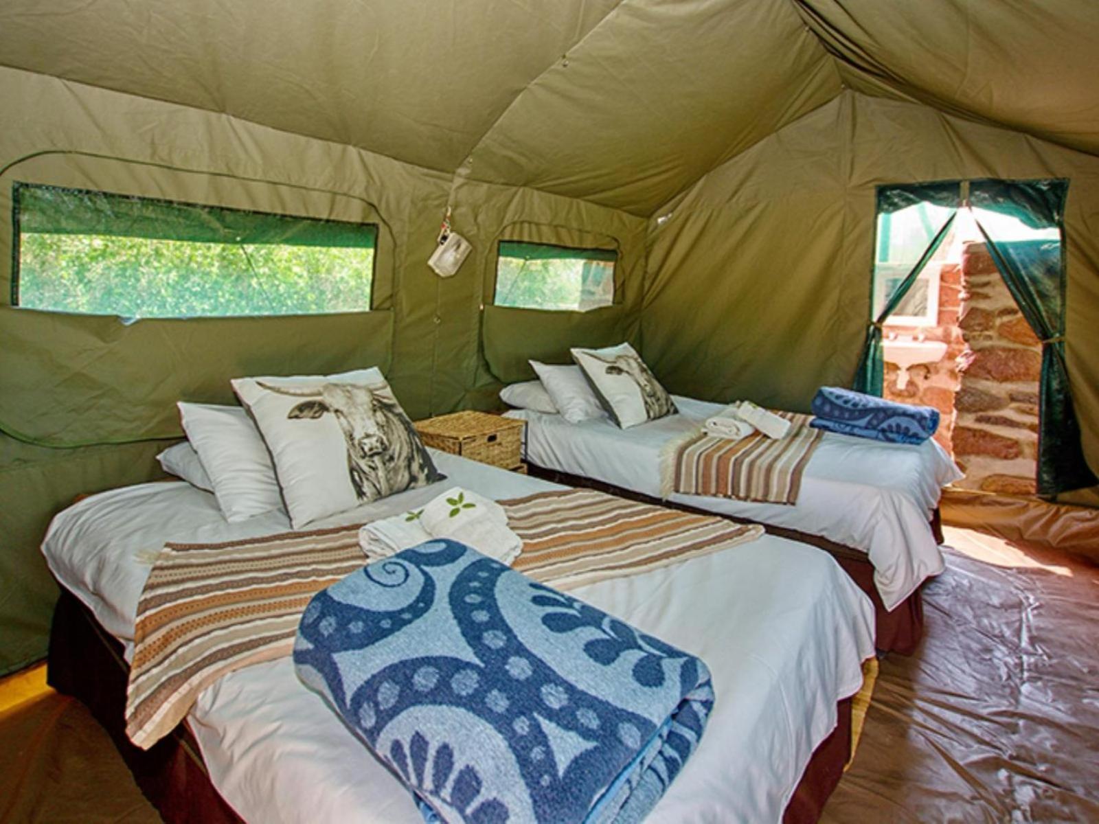 Brandberg White Lady Lodge Uis Exterior foto